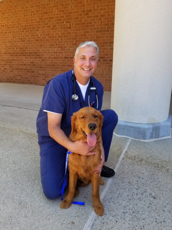 Veterinary Team | Willow Animal Hospital | Vint Hill, VA