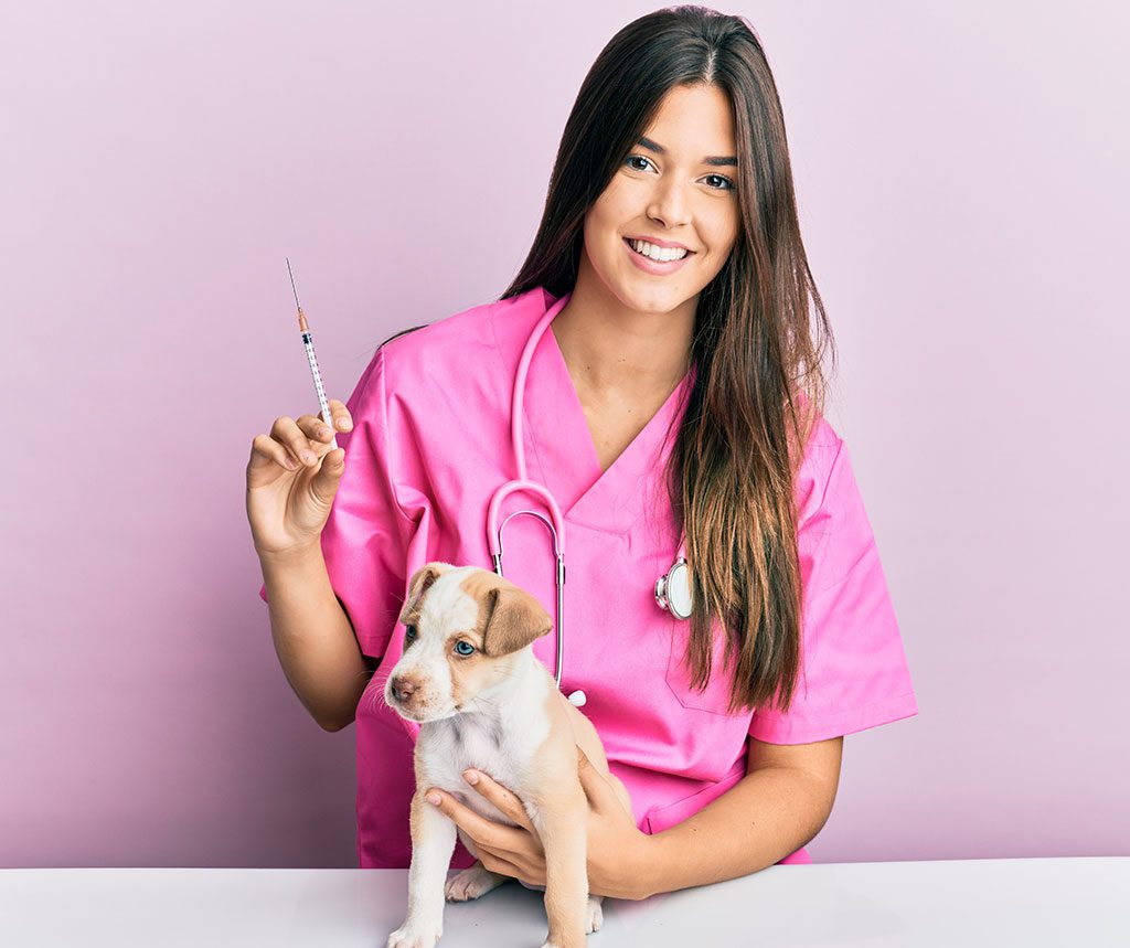 Young hispanic veterinarian girl smiling happy giving injection to little dog at the clinic.
